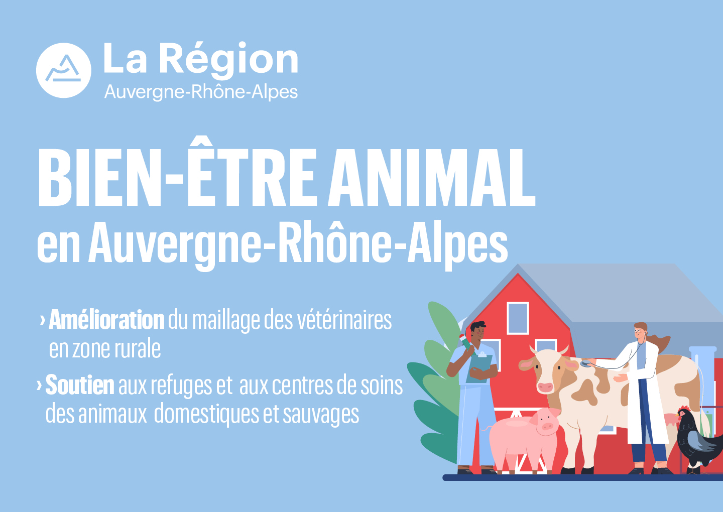Infographie Bien-être animal Infographie Bien-être animal