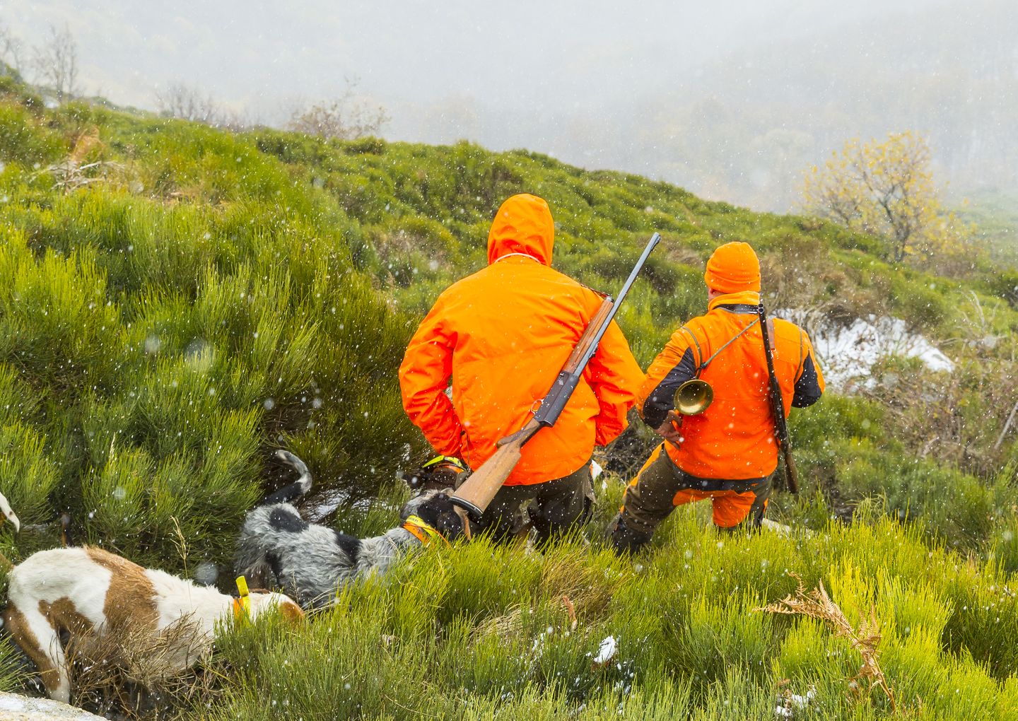 Partie de Chasse - © Juan Robert Partie de Chasse