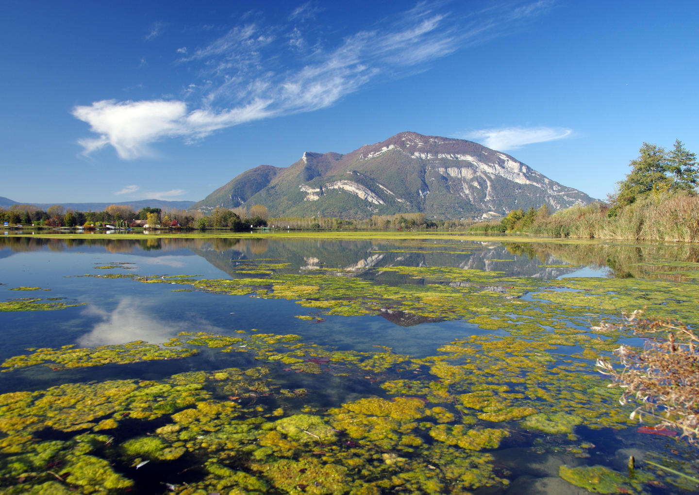 tour de france auvergne