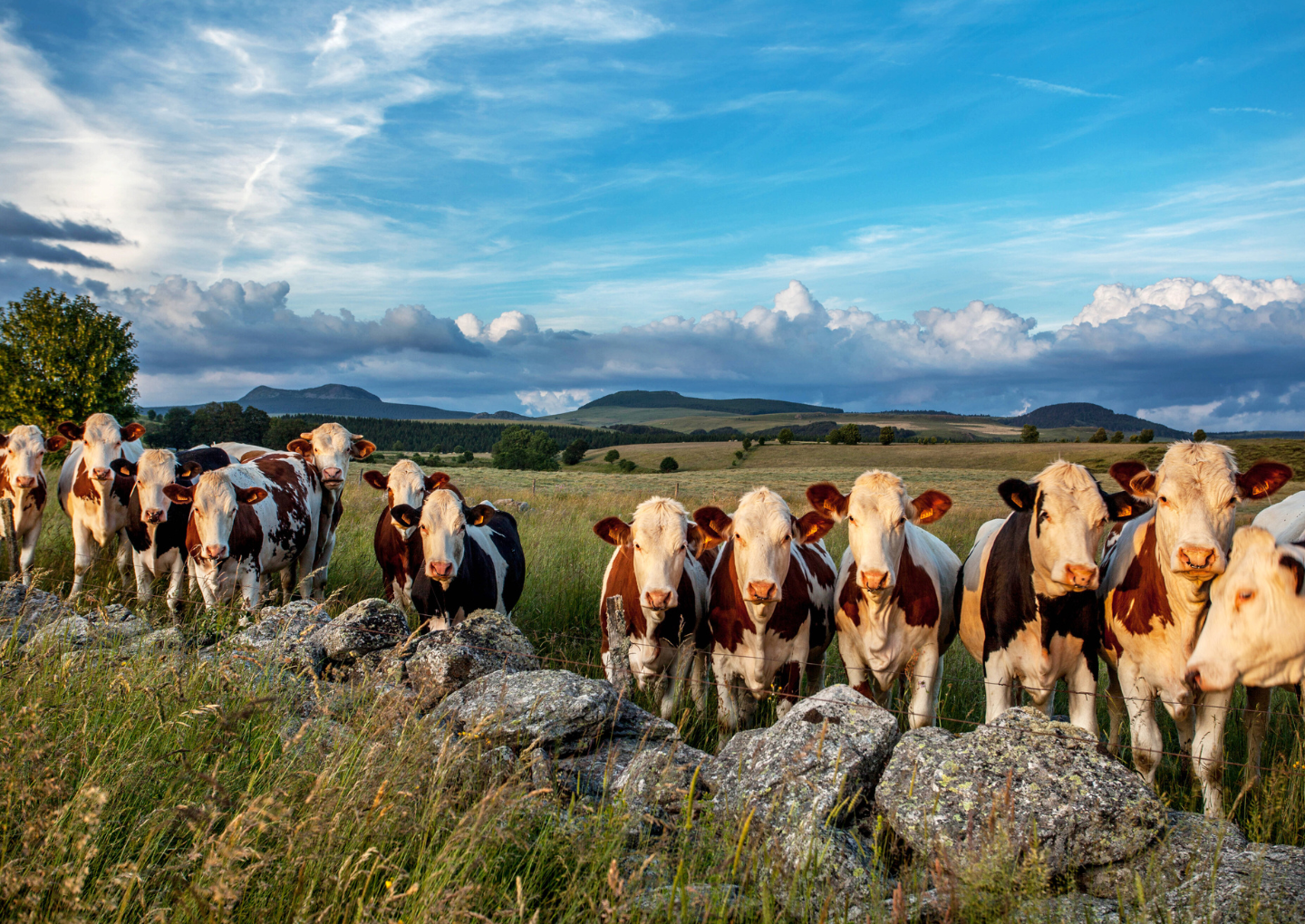 © David Frobert / Auvergne-Rhône-Alpes Tourisme