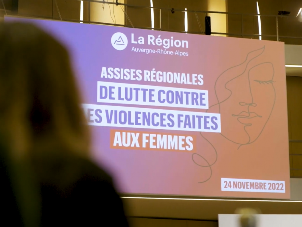 Preview image for the video "Assises régionales de lutte contre les violences faites aux femmes".