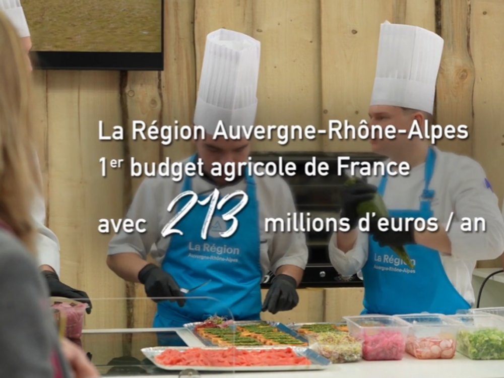 Preview image for the video "Émission Voyons Voir : le Salon international de l'agriculture".