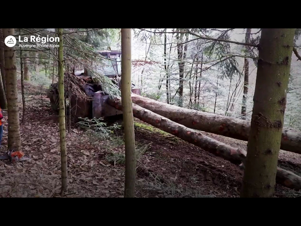 Preview image for the video "Ma Région mes services : soutien de la filière bois".