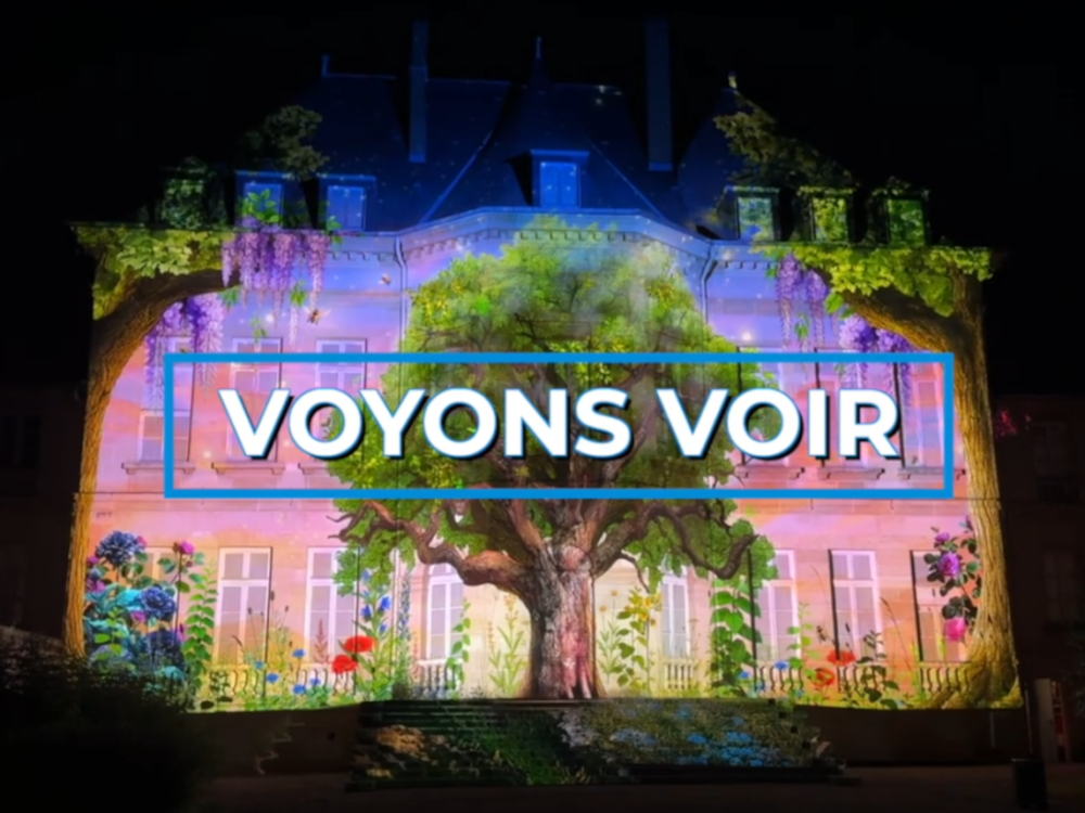 Preview image for the video "Voyons voir : le tourisme de savoir-faire en Auvergne-Rhône-Alpes".