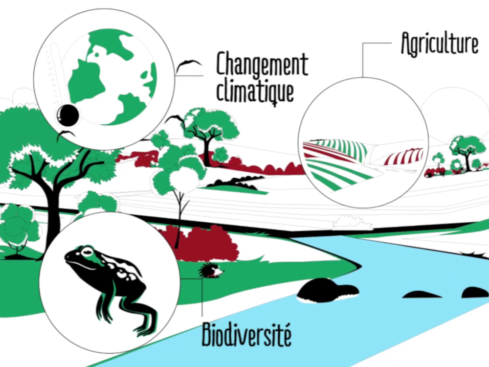 Preview image for the video "Comment agit un Parc naturel régional ?".