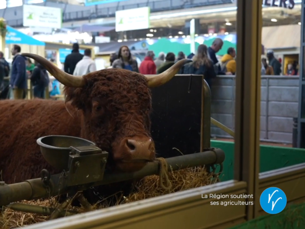 Preview image for the video "Voyons Voir : le quotidien des agriculteurs".