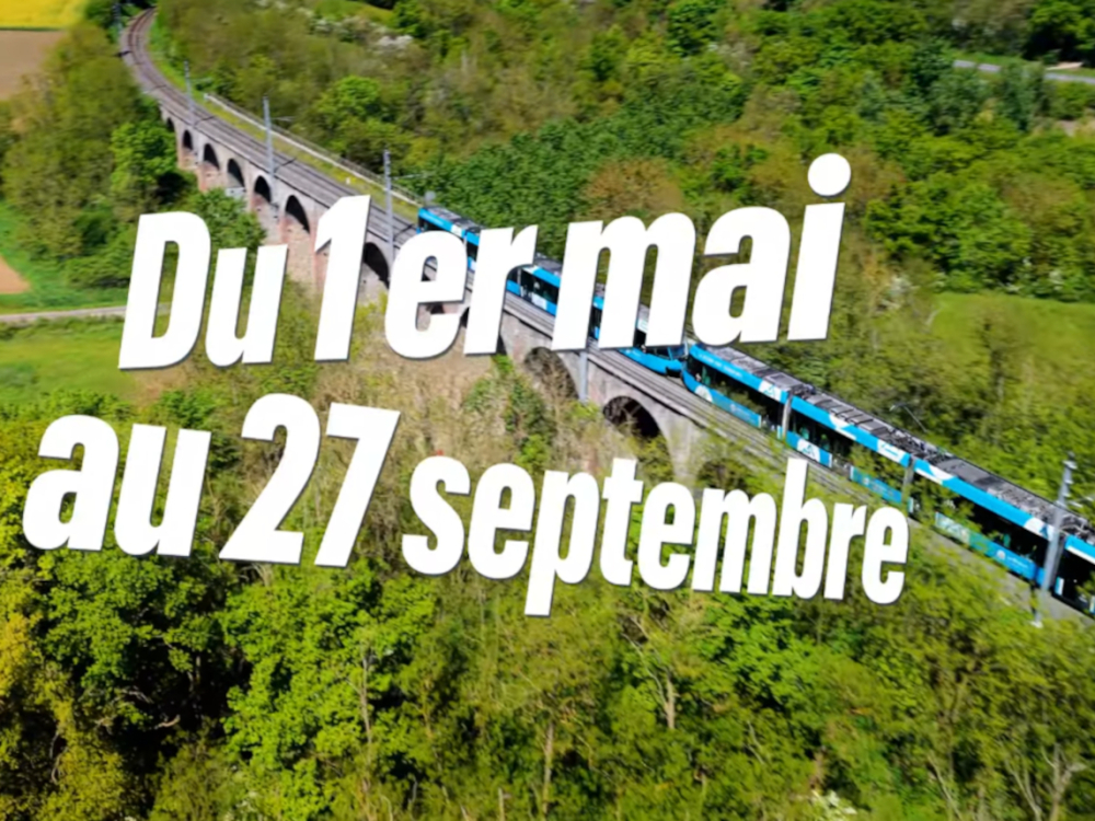 Preview image for the video "Embarquez votre vélo dans le TER pour seulement un euro !".