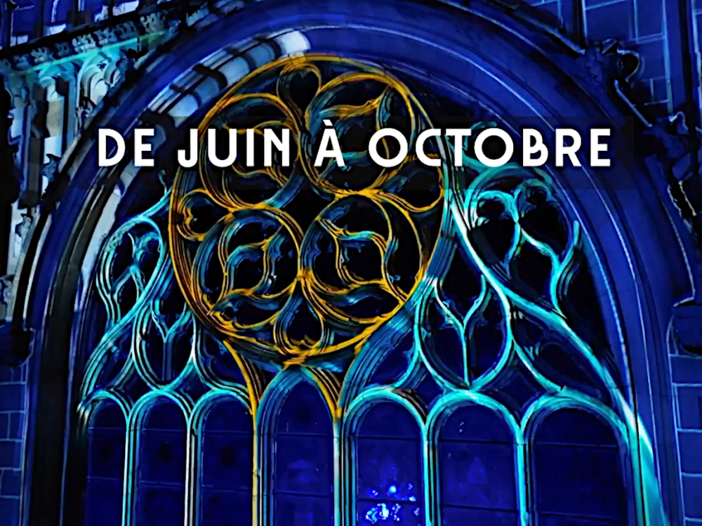 Preview image for the video "Festival Région des Lumières 2026 (teaser)".