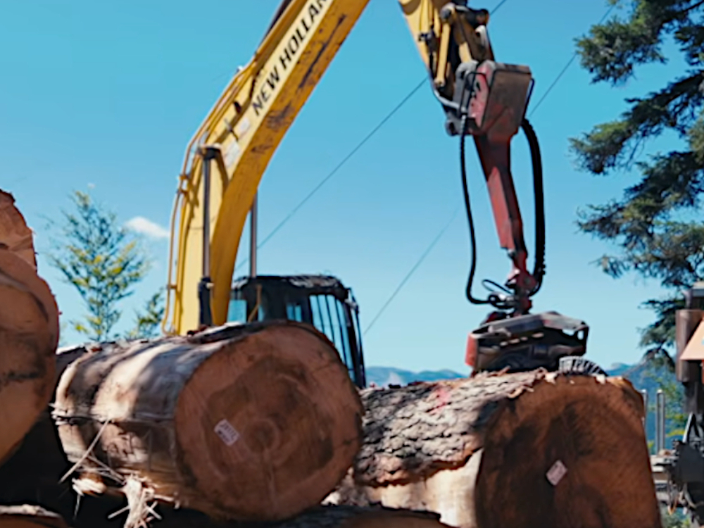 Preview image for the video "Le bois avance en Auvergne-Rhône-Alpes".
