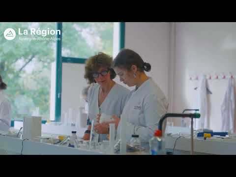 Preview image for the video "Formation H + : des aménagements pour prendre en compte les handicaps en formation".