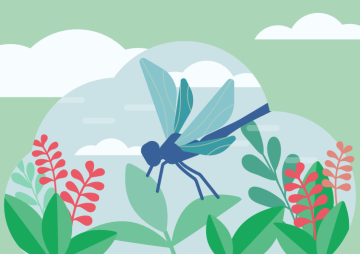 RNR-NATURA 2000 - Illustration RNR