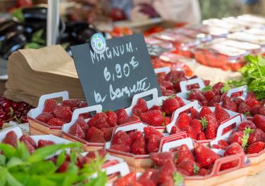 MRST etal fraises.jpg - © Charles Piétri MRST etal fraises.jpg