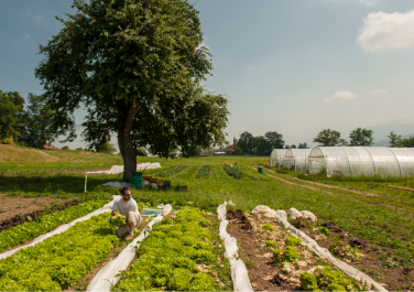 Un agriculteur dans ses cultures - © Marc Chatelain Un agriculteur dans ses cultures