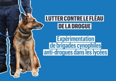 AP octobre-brigdaes cynéphiles