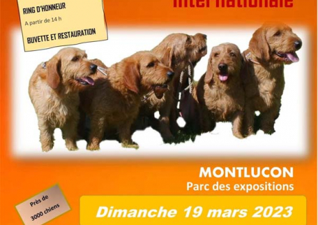 Exposition Canine Internationale