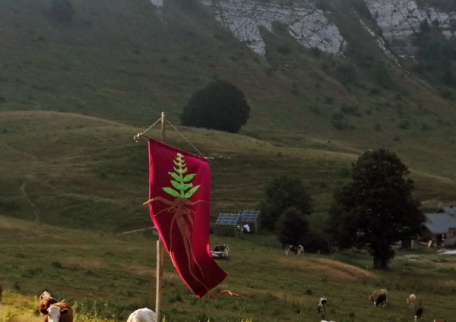 L’antre de la gentianaire