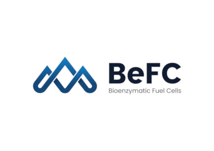 Logo BeFC