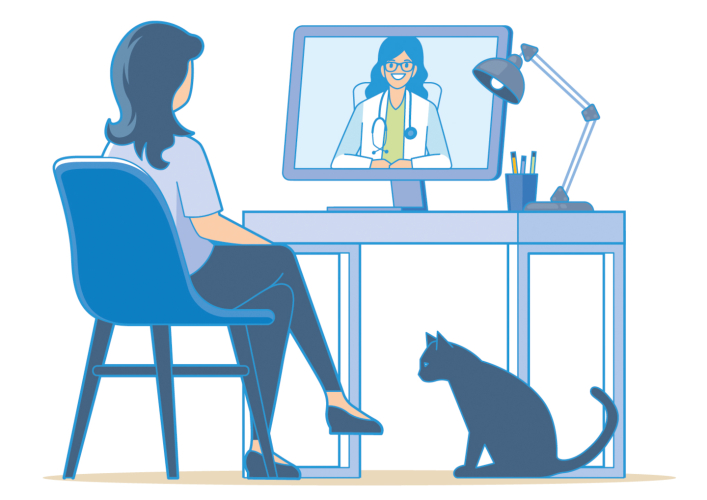 Infographie santé téléconsultation
