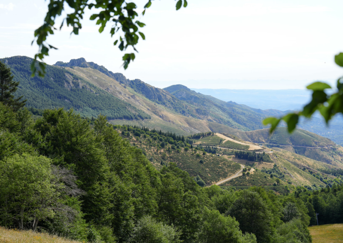 Croix de Beauzon 2025 4