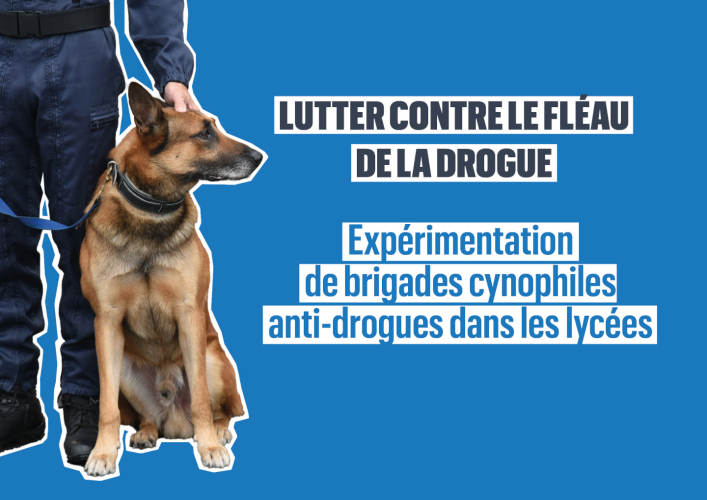 AP octobre-brigdaes cynéphiles