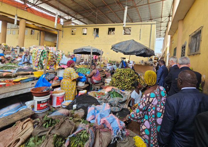 DRI - Mission Côte d'Ivoire 6