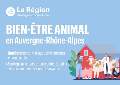 Infographie Bien-être animal Infographie Bien-être animal