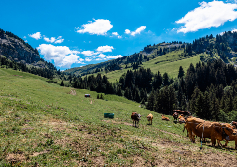 Assises européennes de la montagne 2
