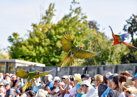 Le Parc des Oiseaux