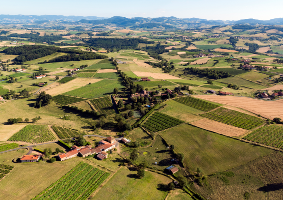 Les Monts du Lyonnais (69)