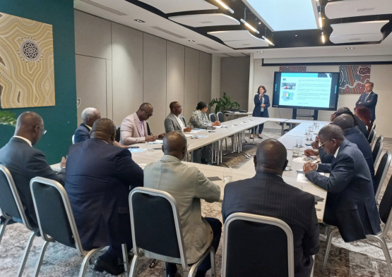 Rencontres économiques Côte d'Ivoire 8