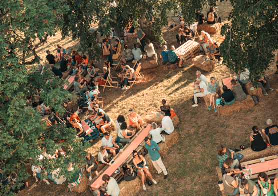 Printemps de Pérouges ambiance 1.JPG