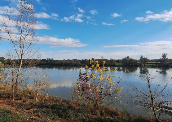 Val de Saône Aval