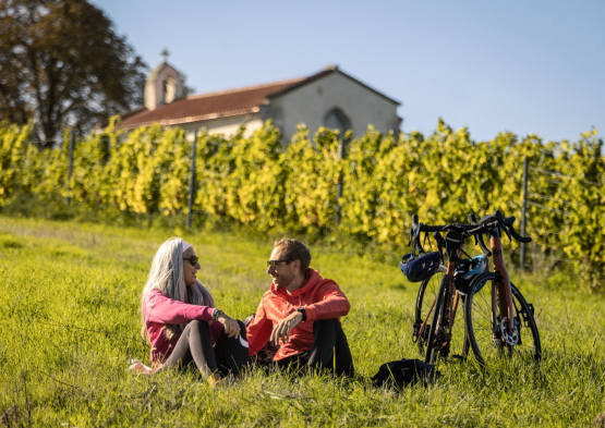 Vignobles en Scène 1