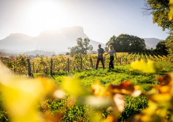 Vignobles en Scène 3