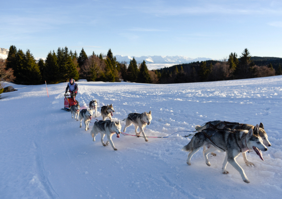 La Grande Odyssée 2018-01