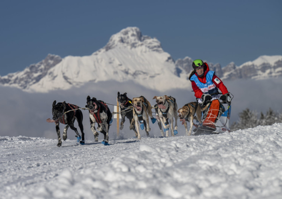 La Grande Odyssée 2025-03