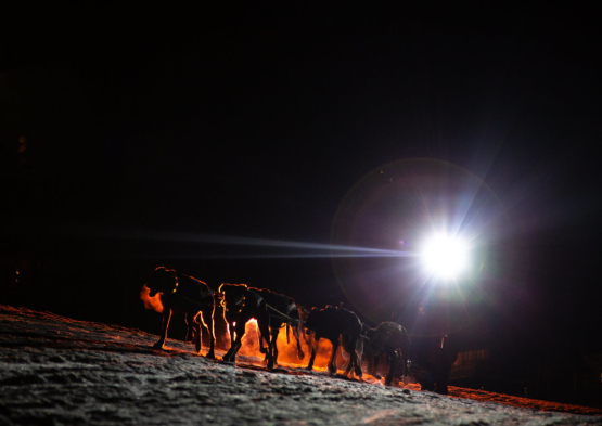 La Grande Odyssée 2025-08