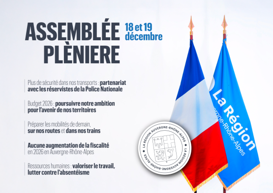 Sommaire assemblée plénière décembre 2025