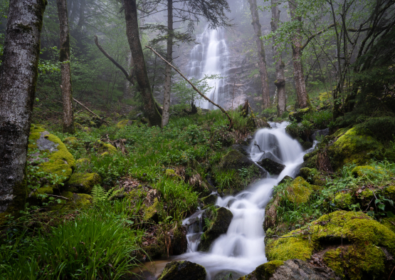 PNR Livradois-Forez 1