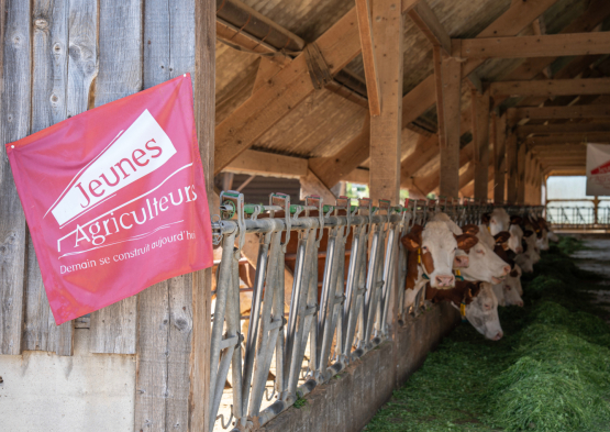 10 ans Haute-Savoie 01