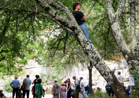 festival Labeaume en musiques ambiance 2024 3