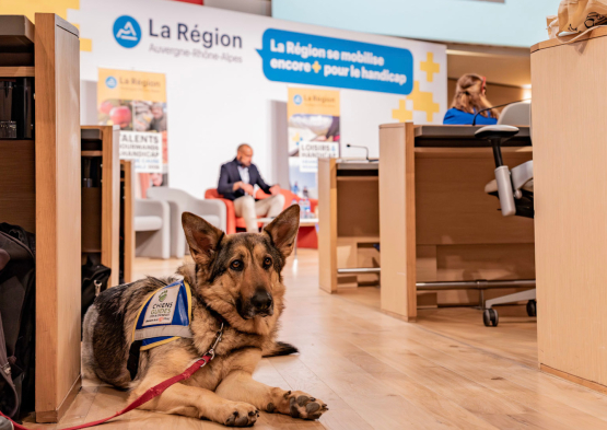 Rencontres grande cause régionale 04