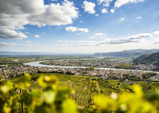 Vignobles des Côtes du Rhône et vue sur le Rhône, Tain l'Hermitage