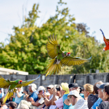 Le Parc des Oiseaux