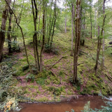 Gorges de la Sioule 1