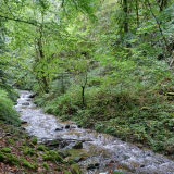 Gorges de la Sioule 2