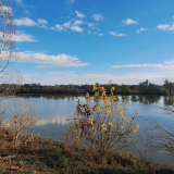 Val de Saône Aval 