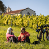 Vignobles en Scène 1