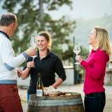 Vignobles en Scène 2 