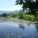 38- RNR Étang de Haute-Jarrie